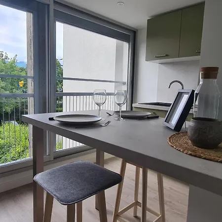 Moderne Climatise Centre Proche Chu * Meylan